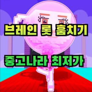 브레인 롯 훔치기 최저가
