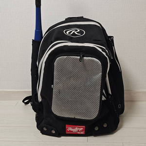 롤링스(Rawlings) 야구 가방 판매합니다