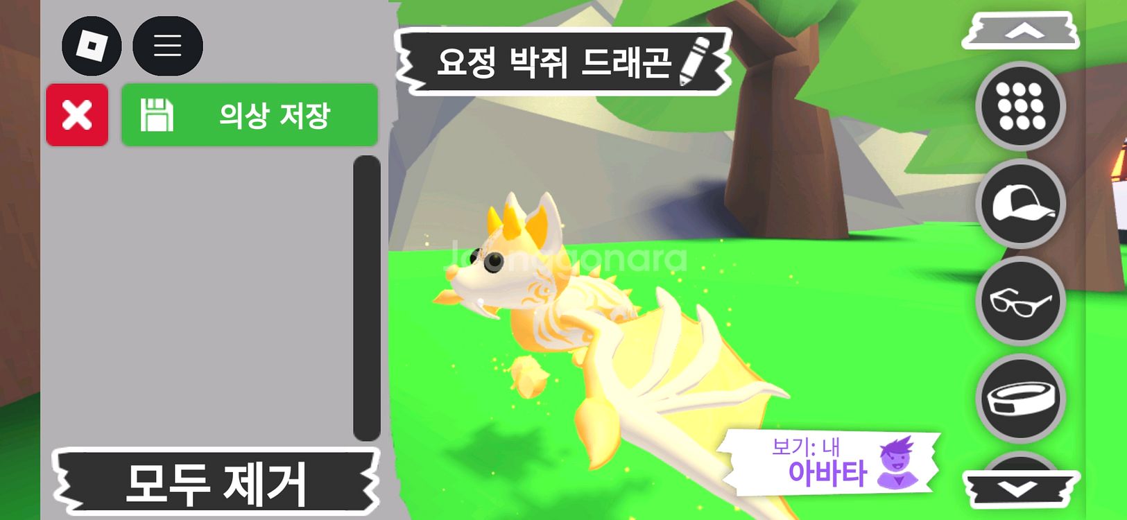 입양하세요 펫 요정 박쥐 드래곤 판매합니다--2