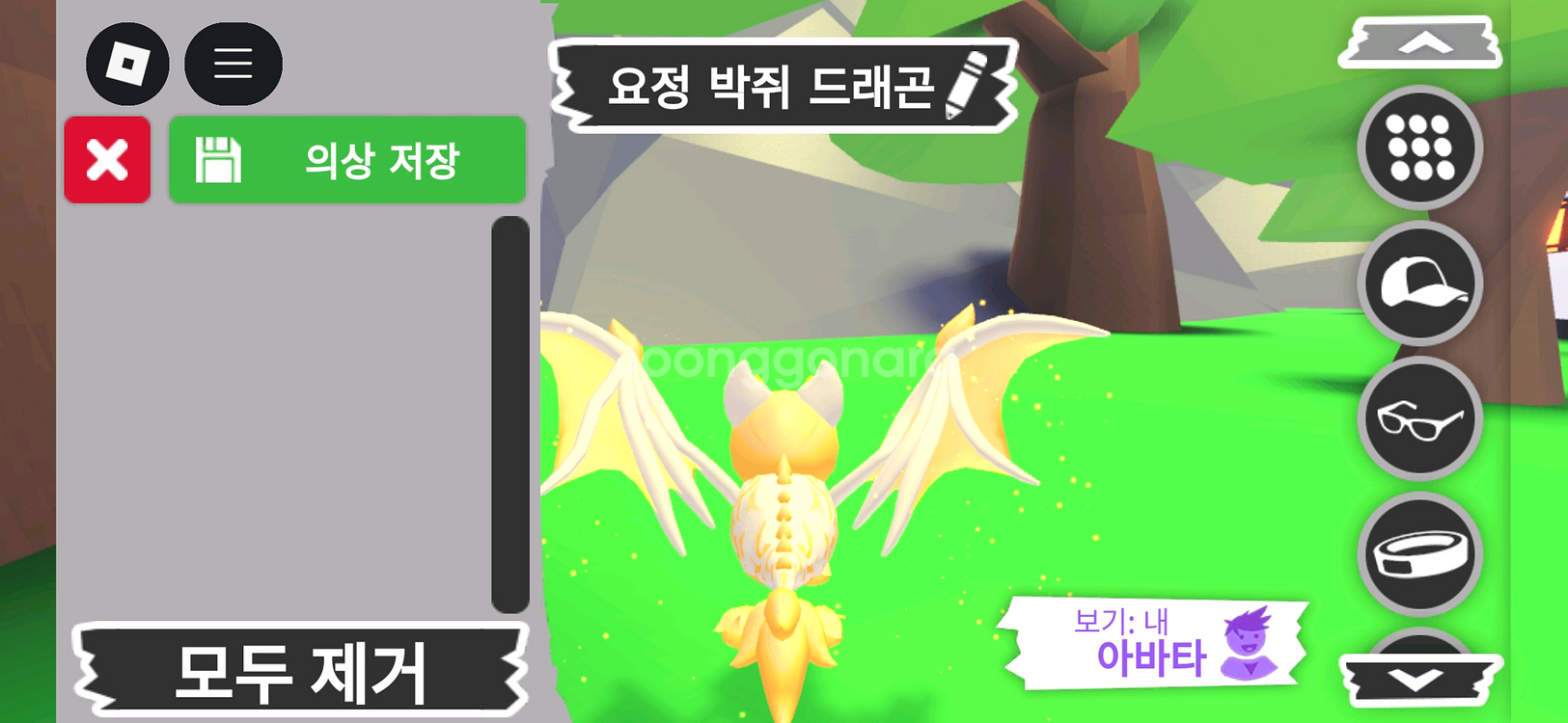 입양하세요 펫 요정 박쥐 드래곤 판매합니다--3