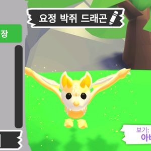 입양하세요 펫 요정 박쥐 드래곤 판매합니다