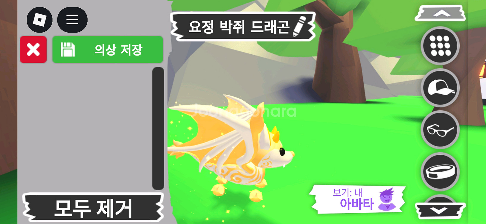 입양하세요 펫 요정 박쥐 드래곤 판매합니다--1