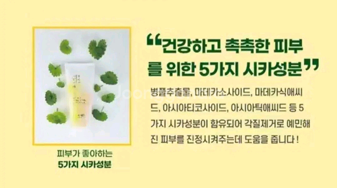 [새상품] 앙쥬 나의 시카 필링젤--5