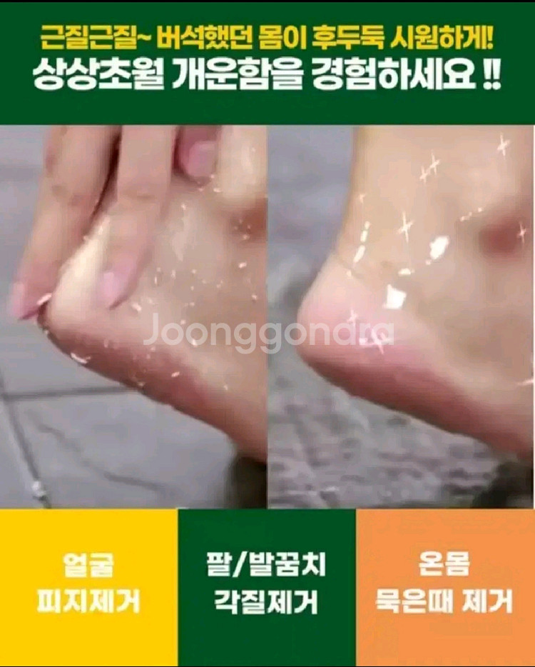 [새상품] 앙쥬 나의 시카 필링젤--4