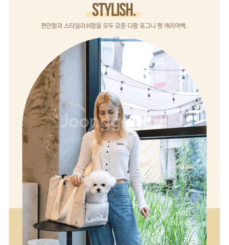 새상품))디팡포그니가방--4