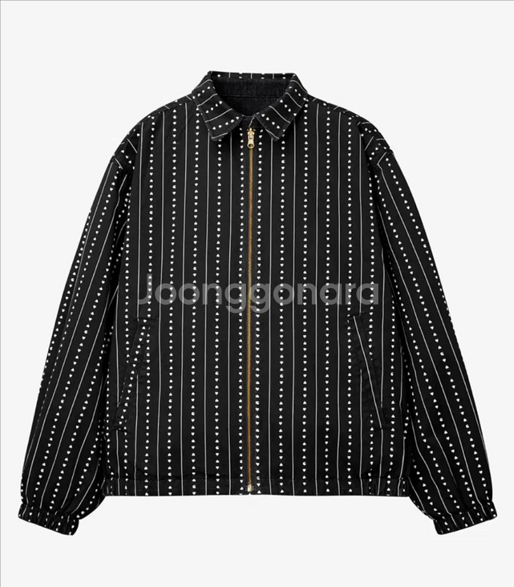 칼하트WIP 허드슨 자켓 HUDSON JACKET--1