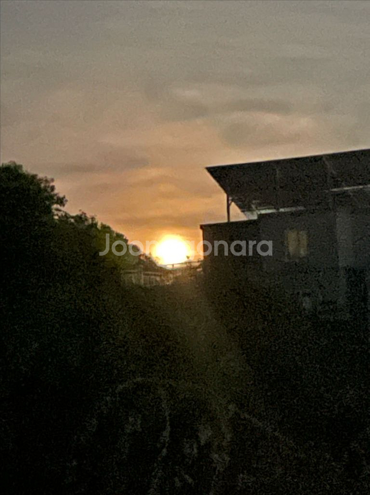 레이스업 타입 글러브 삽니다.--0