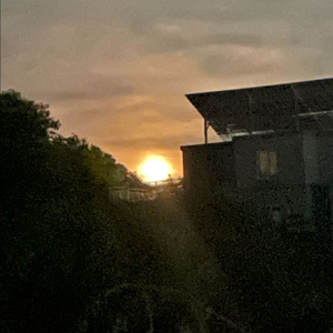 레이스업 타입 글러브 삽니다.