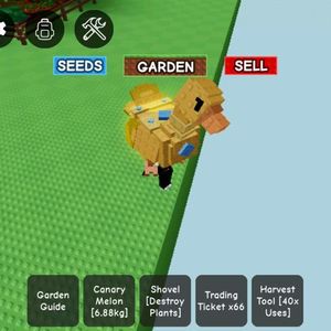 그로우 어가든 황금오리