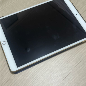 ipad pro 10.5 LTE 아이패드 프로 10.5