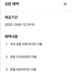 국내 공항 라운지 이용권