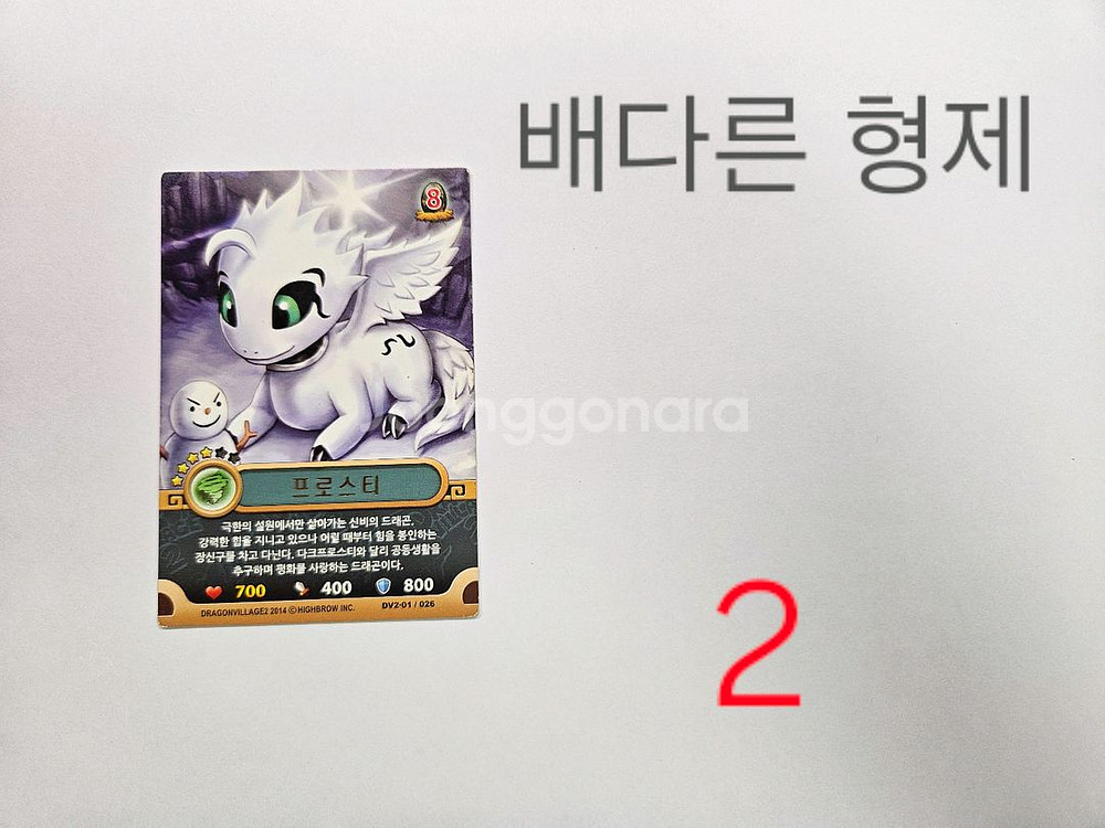 드래곤빌리지 카드 시즌 1&2--8