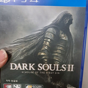 ps4 다크소울2