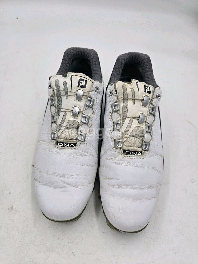 [FootJoy DNA 2.0 남성 골프화 250mm]--0
