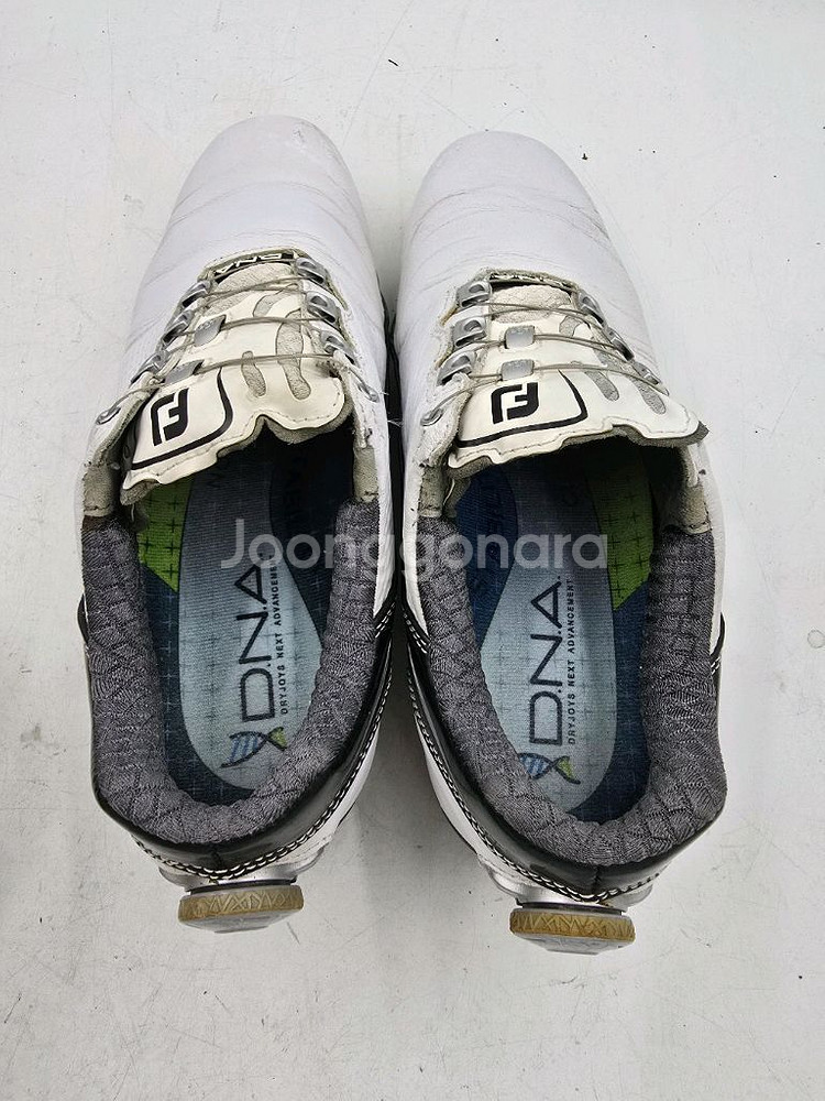 [FootJoy DNA 2.0 남성 골프화 250mm]--1