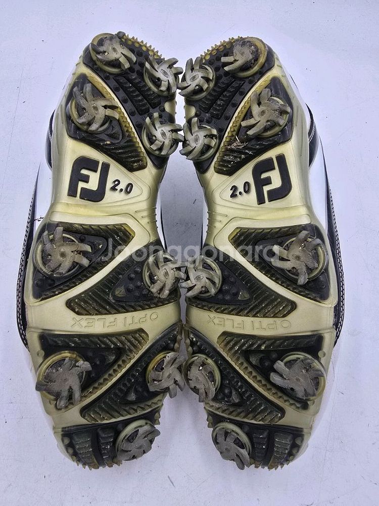 [FootJoy DNA 2.0 남성 골프화 250mm]--4