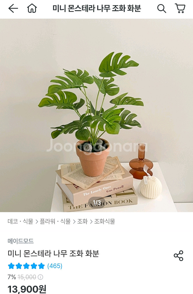 미니 몬스테라 식물조화 화분--0