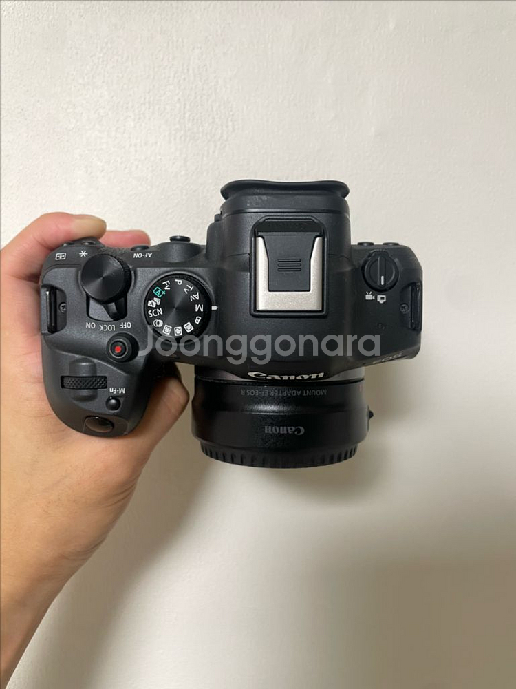 캐논 r6m2, 신계륵, 새새아빠 판매합니다.--1