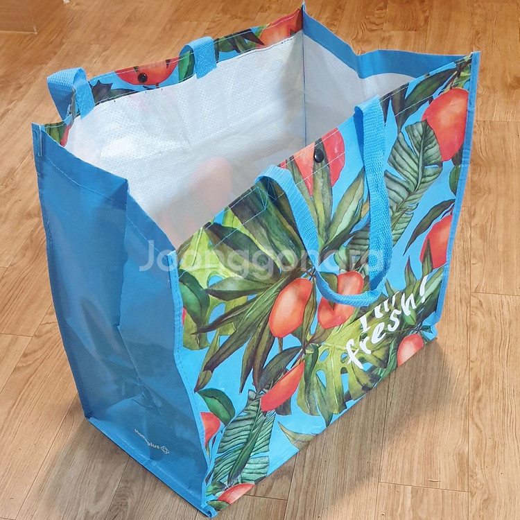 대형 장바구니 시장가방 쇼핑백 에코백 마트 백호점 가방--4