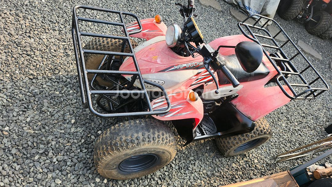 돌핀 100cc ATV 4륜 오토바이 농업용 사발이--2