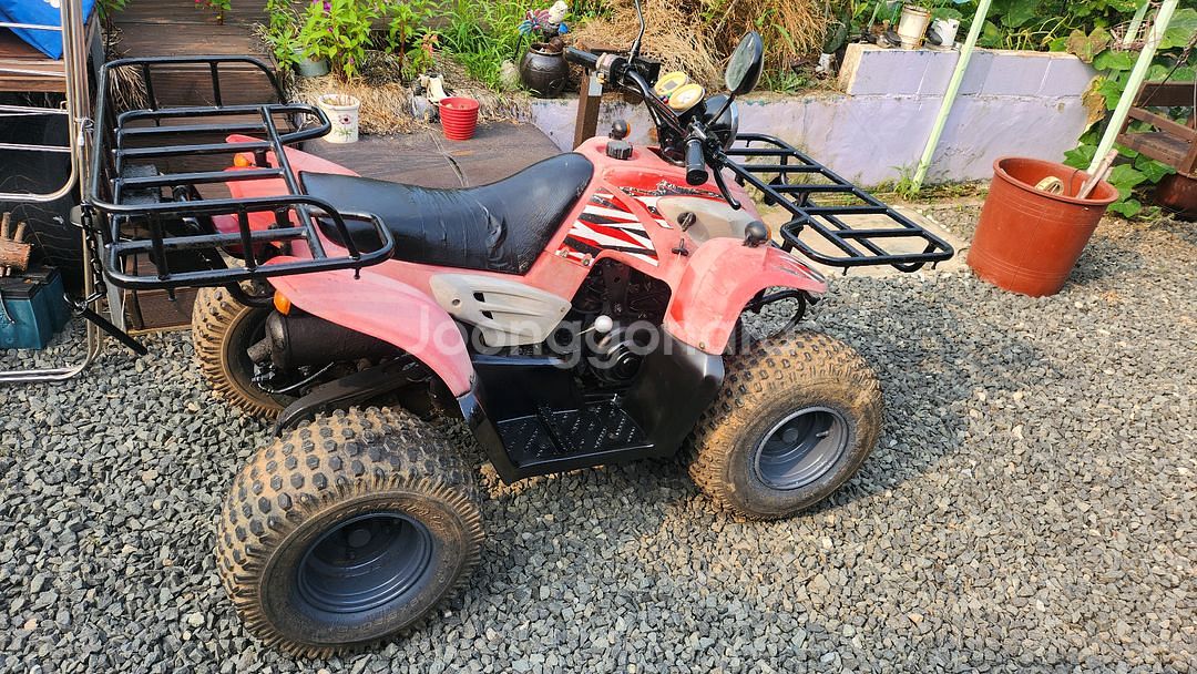 돌핀 100cc ATV 4륜 오토바이 농업용 사발이--3