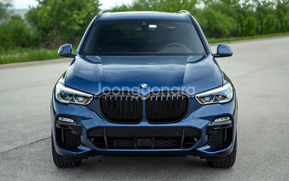BMW X5 G05 X5M F95 키드니 그릴--3