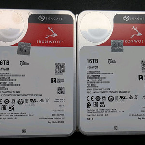씨게이트 아이언울프 16TB HDD 2개