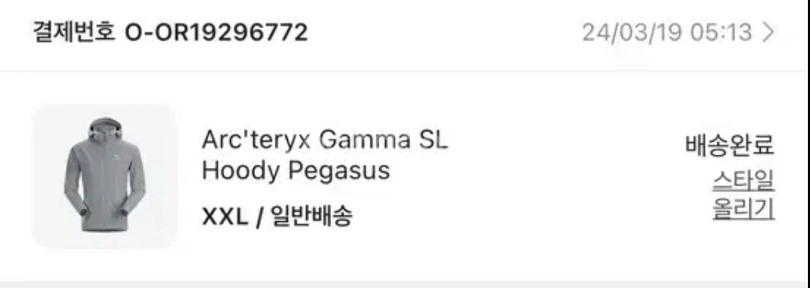 아크테릭스 감마 SL 후디 페가수스 2XL--7