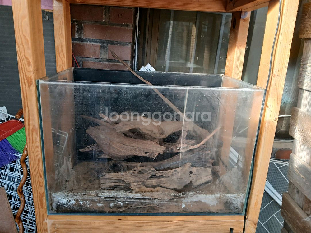 두자축양장--1
