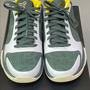 코비 5 eybl