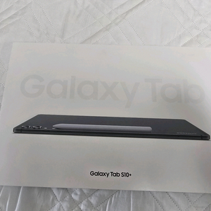 갤럭시탭 S10+