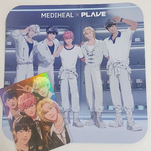 플레이브 빅포카+메디힐부채