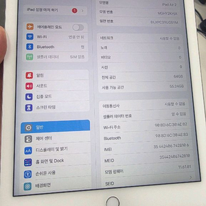아이패드 에어2 셀룰러 64G 실버