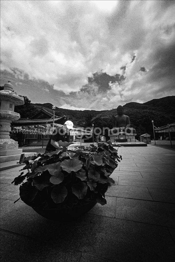 보이그랜더 헬리어 12mm f5.6 ltm(교환가능)--9