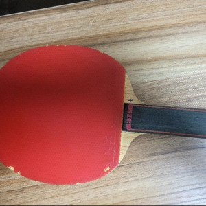 Xiom 엑시옴 탁구라켓 . 스트라디바리우스