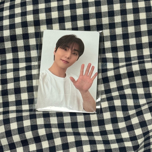 데이식스 영케이 로이비 포토카드 4종세트