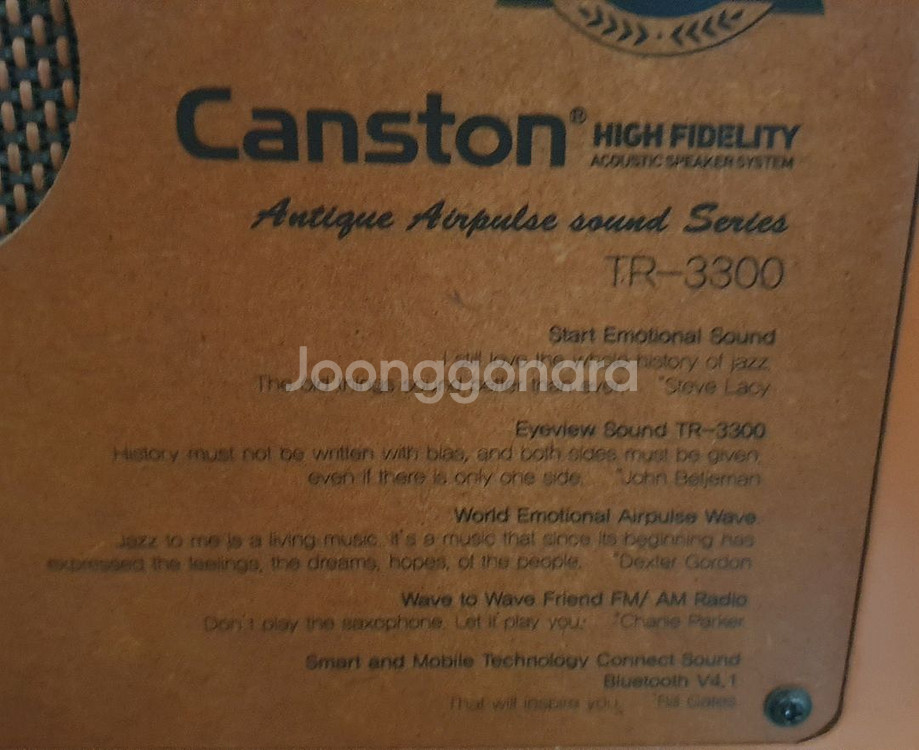 캔스톤 올인원 블루투스 스피커 TR-3300--2