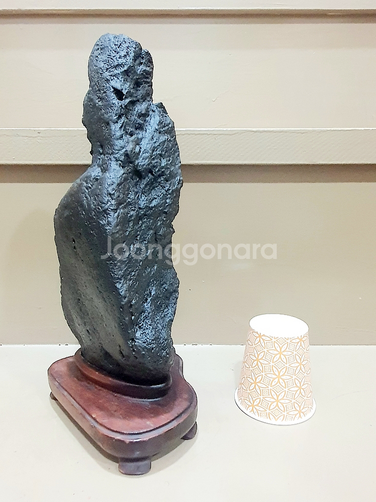 수석 돌 괴산 스타치석 피부석 입석 절벽경--5