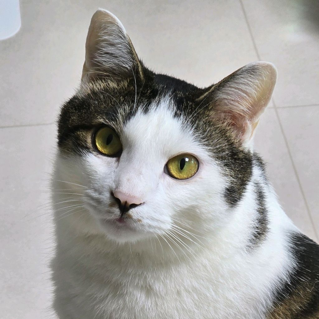 profile-image