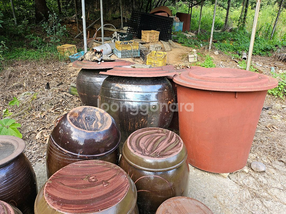 장독대21개일괄45만원급처!!--2