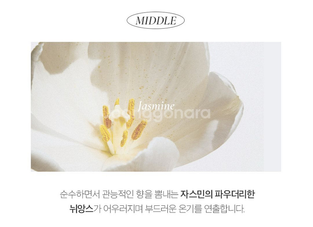 루아페 시어블루 향수+고체향수 세트--6