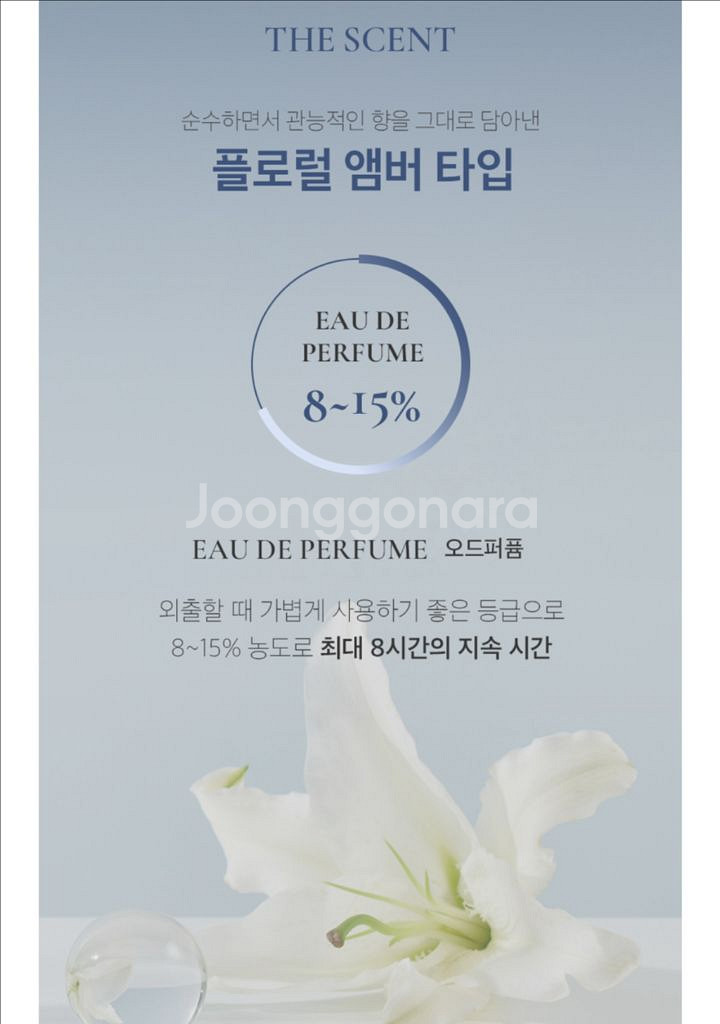 루아페 시어블루 향수+고체향수 세트--8