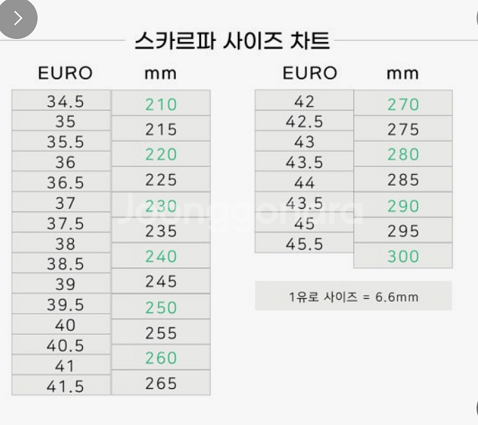 스카르파 드라고 LV 클라이밍화 35--1