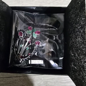 보석 브러치