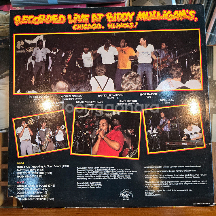 James Cotton & his big band.86--1
