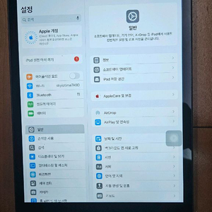 아이패드 미니5 셀룰러 64g 하자