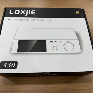 LOXJIE A30 올인원 앰프