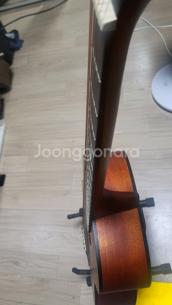 CORT 콜트 AF-510M 올마호가니 새제품 세팅완--6