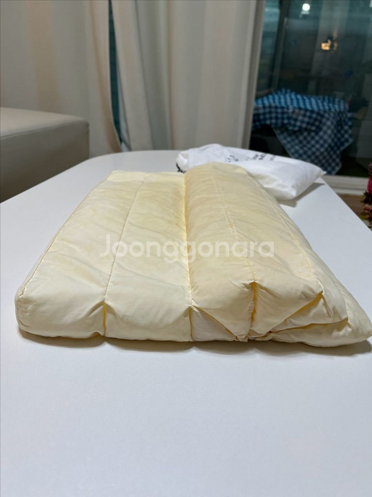 목디스크 일자목 베게 프리미엄 베니굿 베게--5