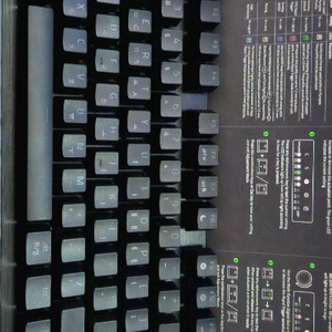 레이저 헌츠맨 v3 tkl 레피드 트리커